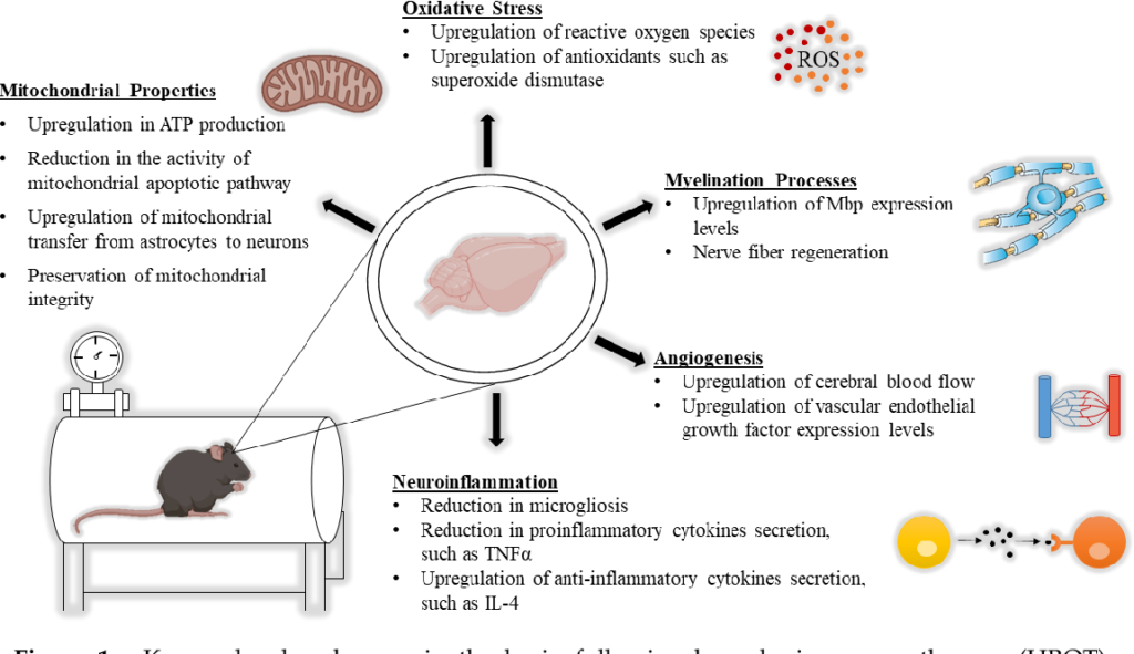 The role of hyperbaric oxygen therapy (HBOT) in Autism Spectrum
