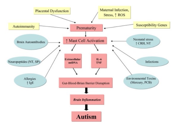 Role of Hyperbaric Oxygen Therapy in Autism